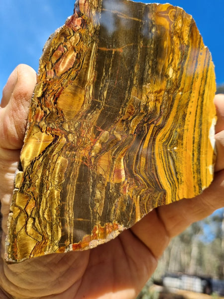 Polished Tiger Eye slab TE381