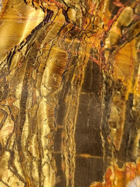 Polished Tiger Eye slab TE381