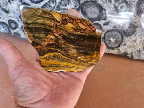 Polished Tiger Eye slab TE381