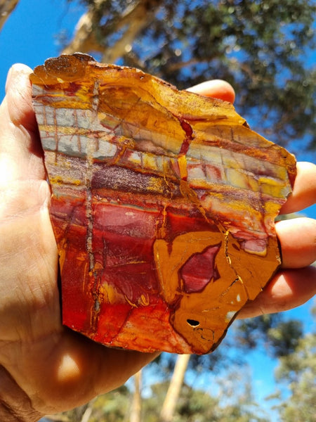 Sunset Jasper polished slab SU165