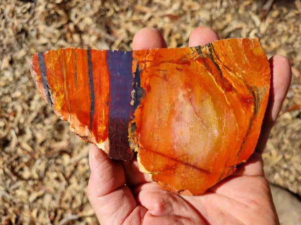 Sunset Jasper polished slab SU163