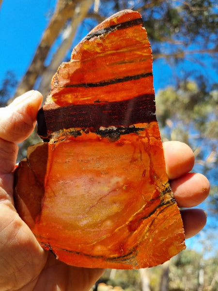 Sunset Jasper polished slab SU163