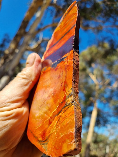 Sunset Jasper polished slab SU163