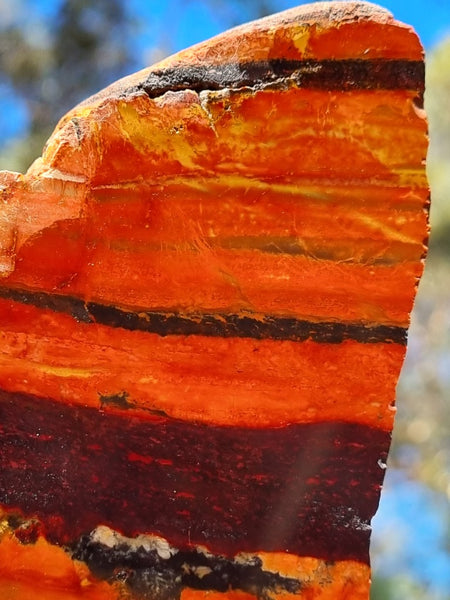 Sunset Jasper polished slab SU163