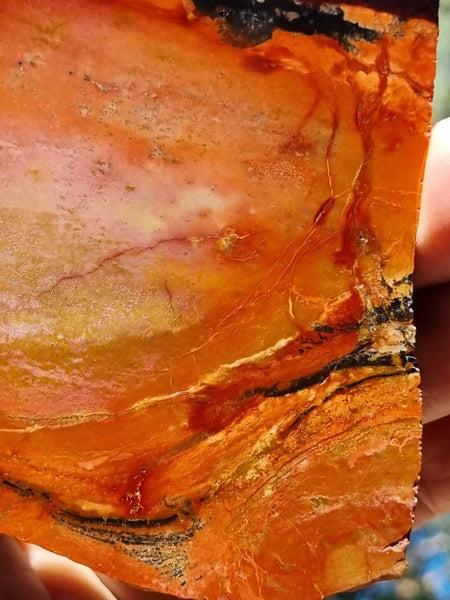 Sunset Jasper polished slab SU163