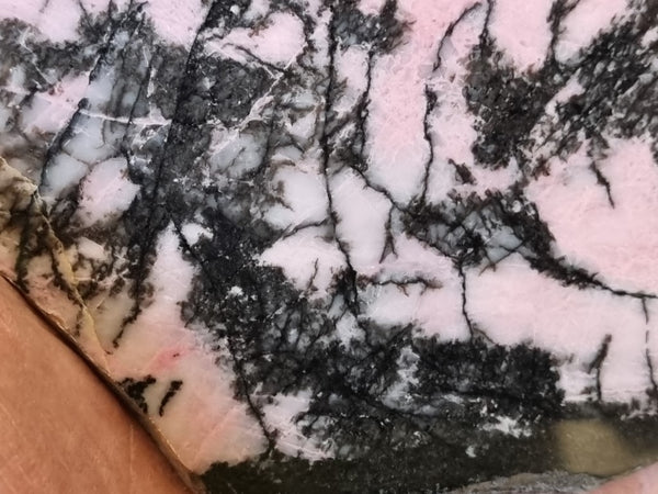 Polished Rhodonite slab RH271