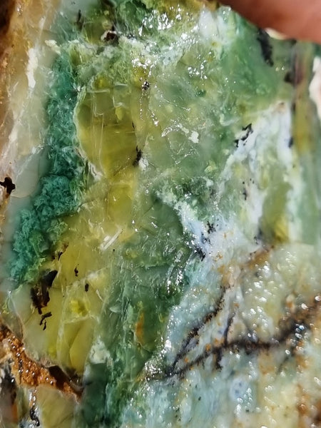 Green Opal  rough.  GOR 115