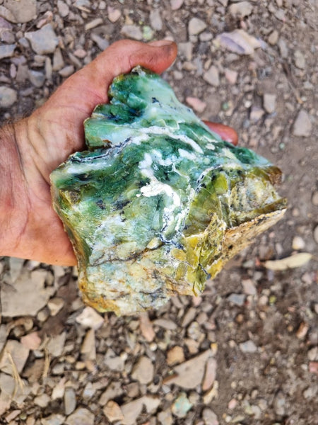 Green Opal  rough.  GOR 115