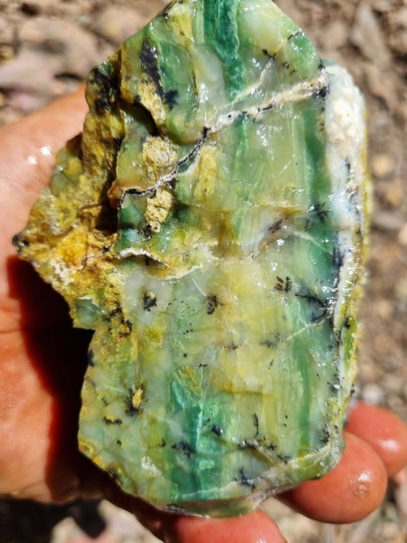 Green Opal  rough.  GOR 114