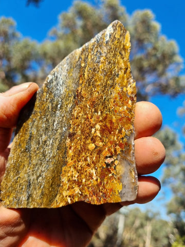 Polished Golden Amphibolite slab GA149