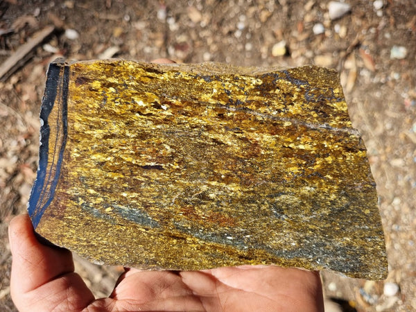 Polished Golden Amphibolite slab GA150