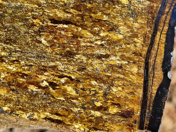 Polished Golden Amphibolite slab GA150