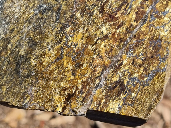 Polished Golden Amphibolite slab GA150