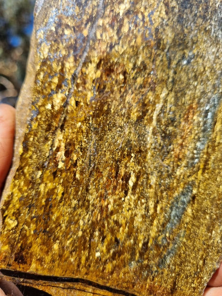 Polished Golden Amphibolite slab GA150