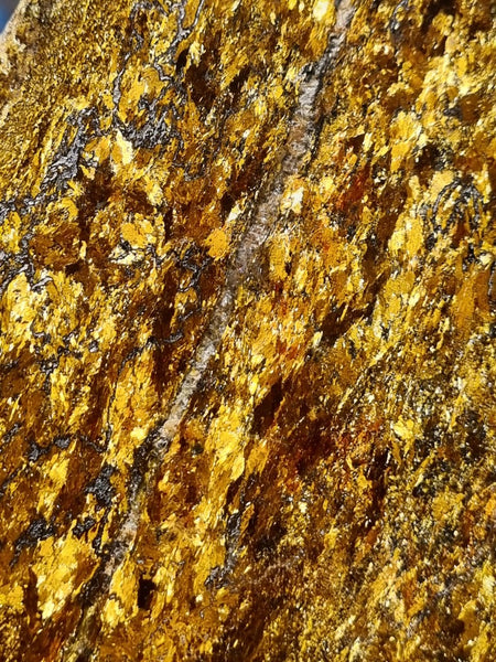 Polished Golden Amphibolite slab GA150