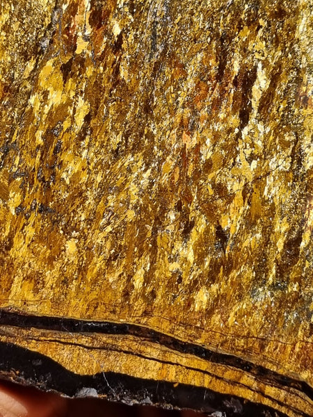 Polished Golden Amphibolite slab GA150