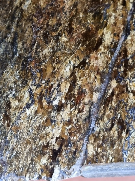 Polished Golden Amphibolite slab GA150