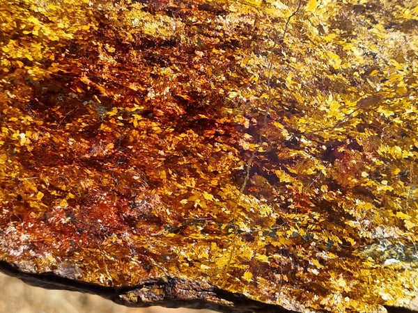 Polished Golden Amphibolite slab GA151