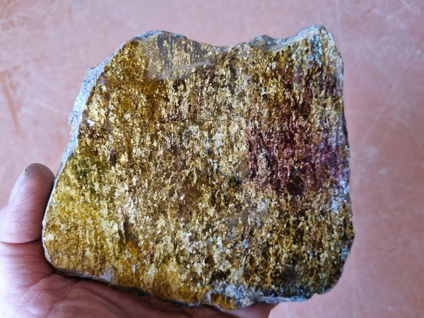 Polished Golden Amphibolite slab GA151