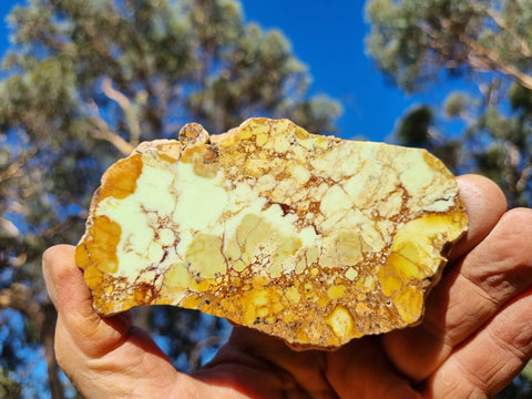 Polished Magnesite slab. MAP172