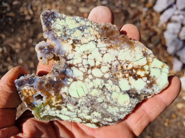 Polished Magnesite slab. MAP173