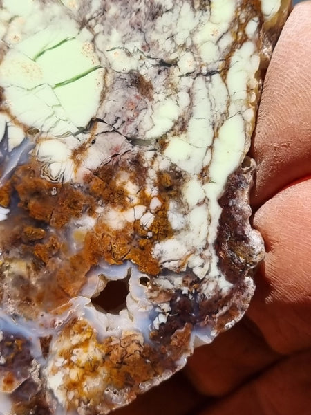 Polished Magnesite slab. MAP173