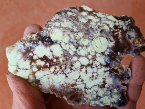 Polished Magnesite slab. MAP173