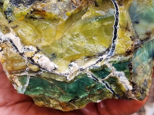 Green Opal  rough.  GOR 117