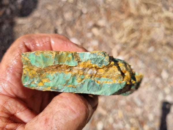 Variscite rough. VR534