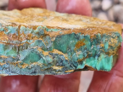 Variscite rough. VR534