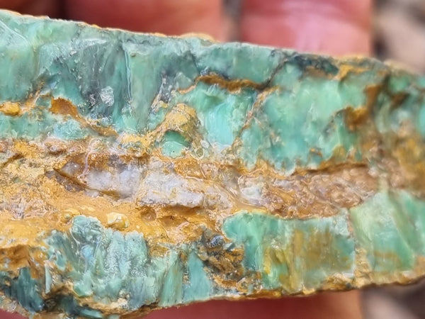 Variscite rough. VR534