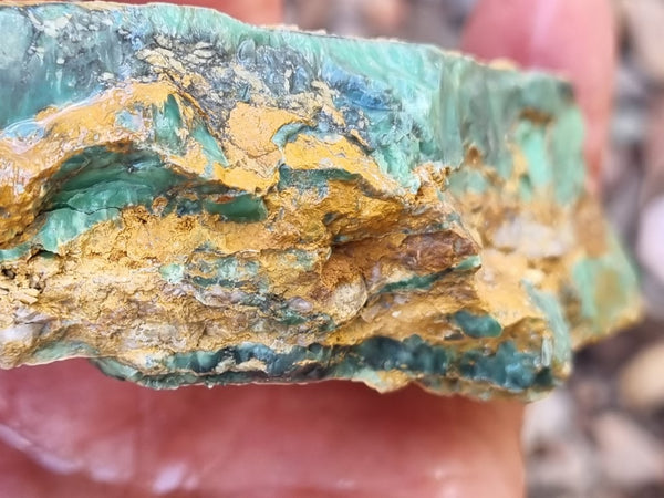 Variscite rough. VR534