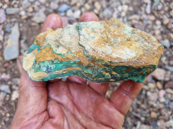 Variscite rough. VR534