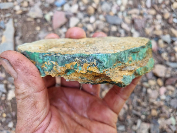 Variscite rough. VR534