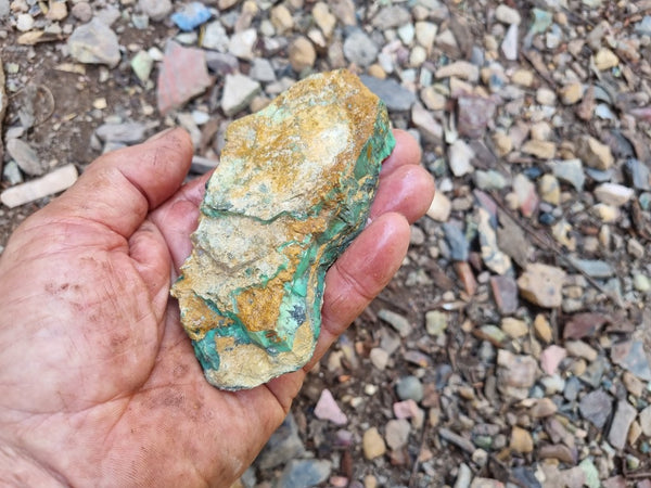 Variscite rough. VR534