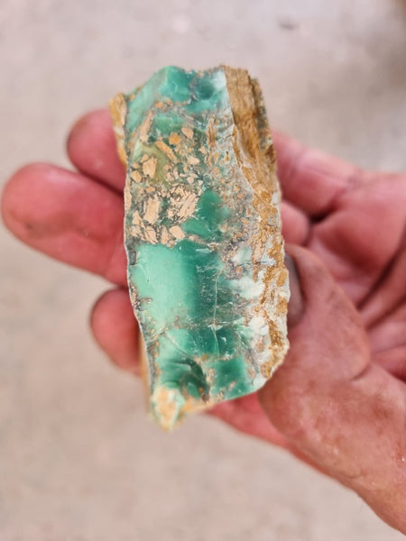 Variscite rough. VR536