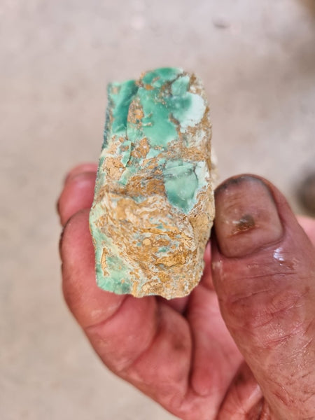 Variscite rough. VR536