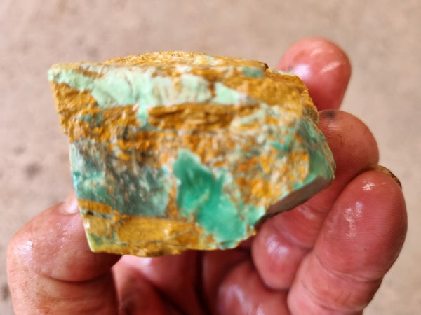 Variscite rough. VR536