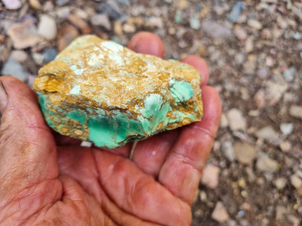 Variscite rough. VR536