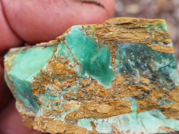 Variscite rough. VR536