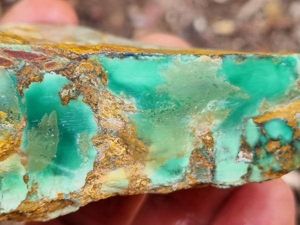 Variscite rough. VR536