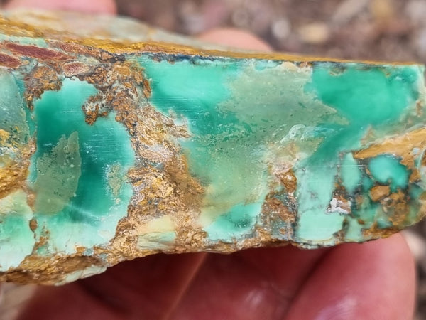 Variscite rough. VR536