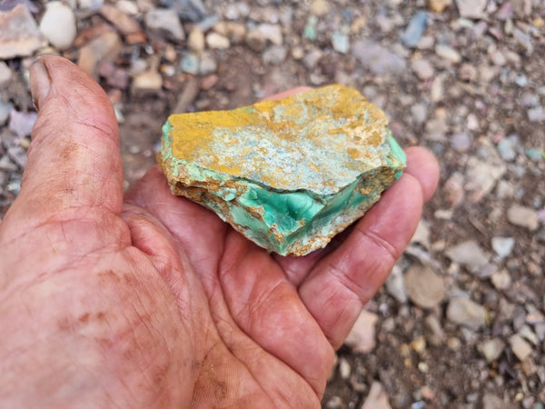 Variscite rough. VR536