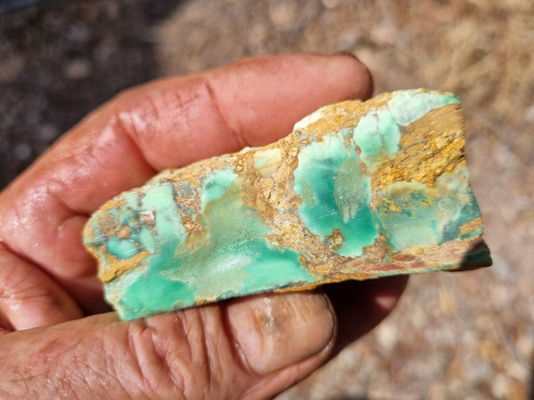 Variscite rough. VR536