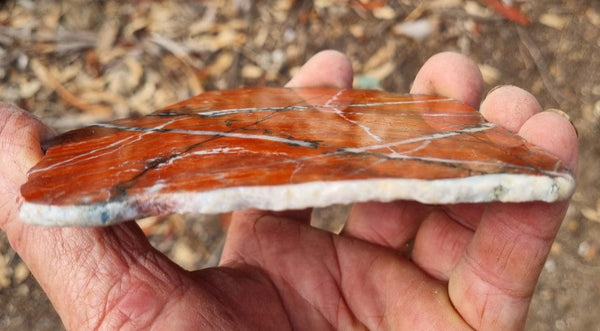 Starry Jasper polished slab SJ137