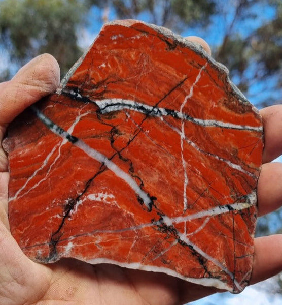 Starry Jasper polished slab SJ137