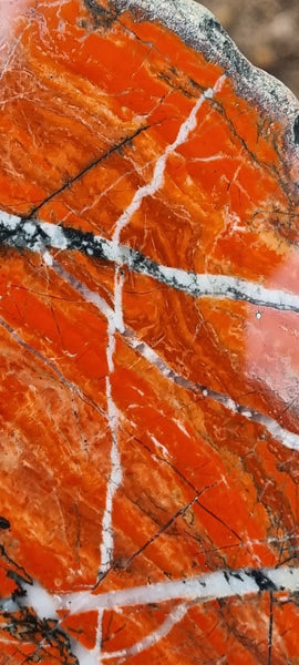 Starry Jasper polished slab SJ137