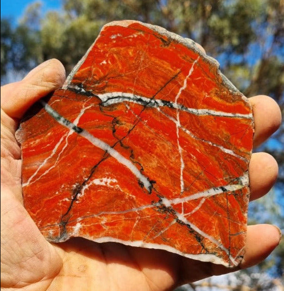 Starry Jasper polished slab SJ137