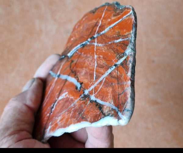 Starry Jasper polished slab SJ137