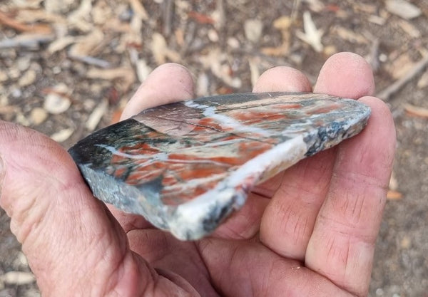 Starry Jasper polished slab SJ140